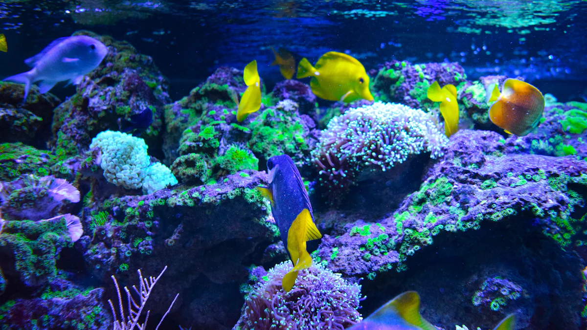 acquario marino completo quanto può costare